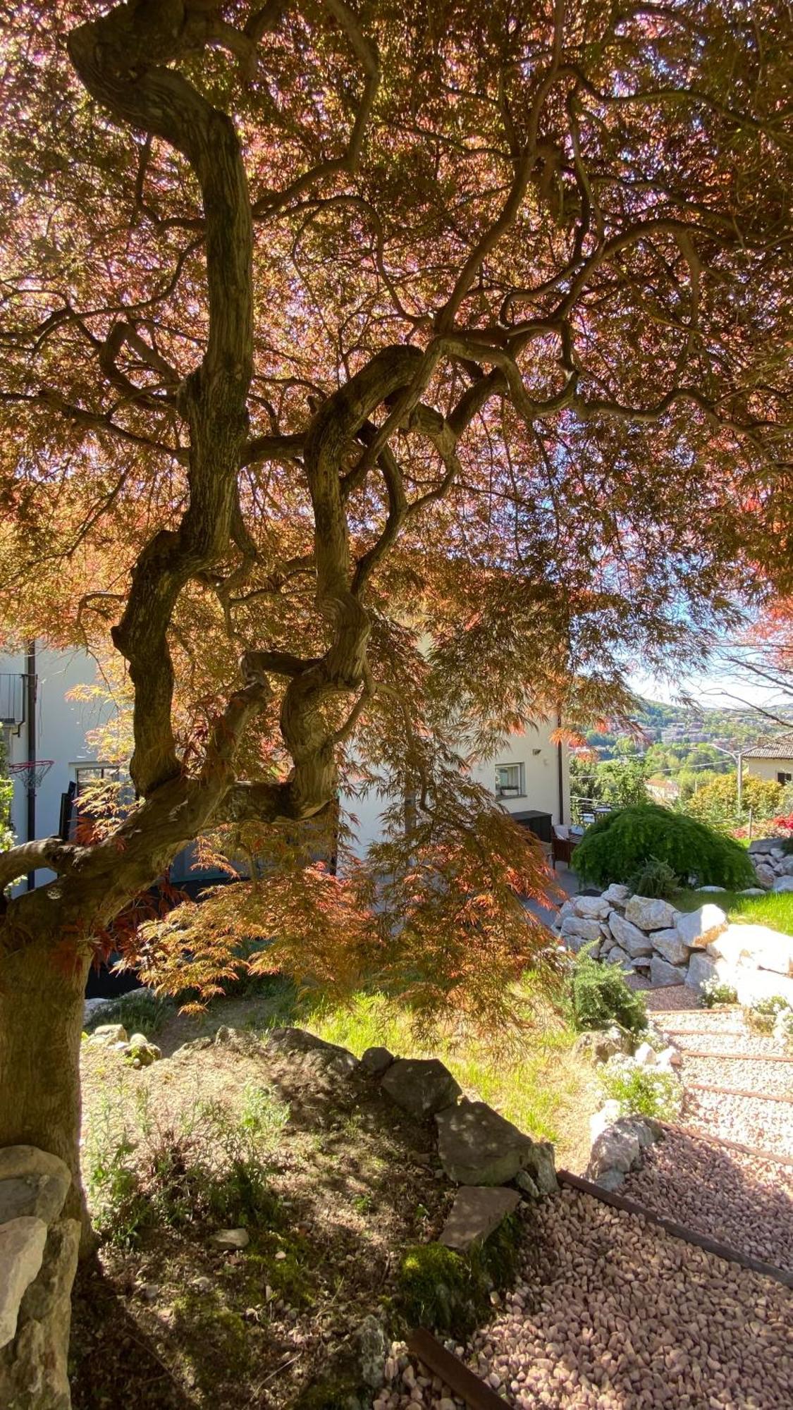 Villa I Faggi Rossi - Red Beech Trees Como Exterior foto